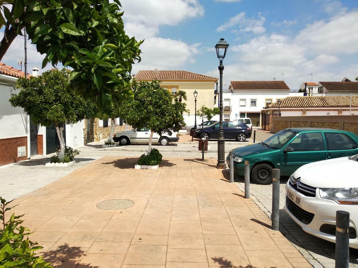 Casa completa con piscina a 15 km de Córdoba Encinarejo De Cordoba Exterior foto
